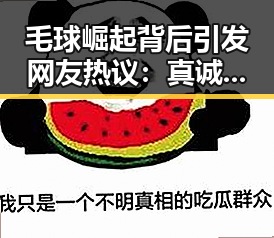 毛球崛起背后引发网友热议：真诚、争议与未来的多重焦点